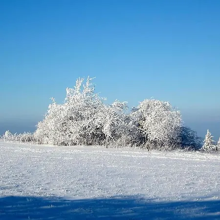 Rhoenblick - Restaurant - Countrypub ホテル 3*