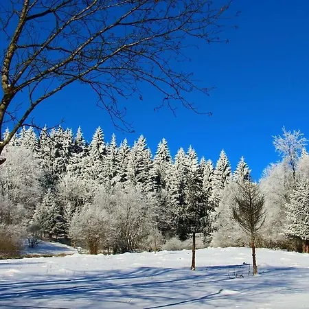 Rhoenblick - Restaurant - Countrypub 3* بيترسبرغ